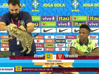 Despide Brasil… a ¡gato!