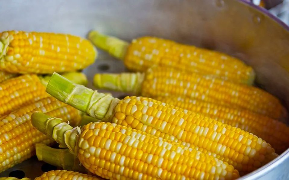 Buscan evitar aumento en el maíz