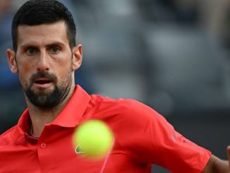 Aficionado golpea a Djokovic
